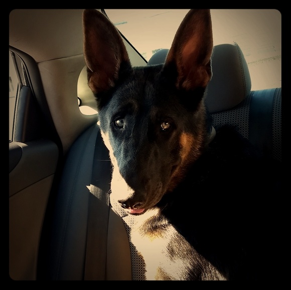 Meet your Posher, Debra - Picture 1 of 2